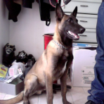 Talbo